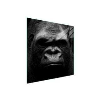 Staklena zaštita za ploču za kuhanje 50x52 Gorilla