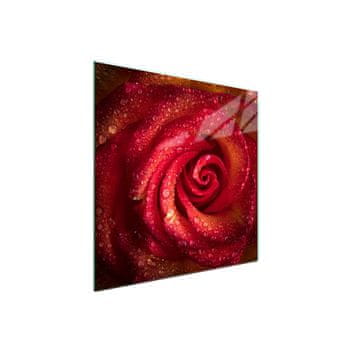 Staklena zaštitna ploča za štednjak 50x52 Rose