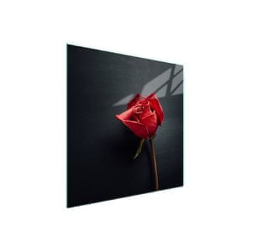 Staklena zaštitna ploča za štednjak 50x52 Rose