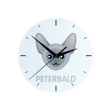 Peterbald - MDF sat s grafikom i natpisom