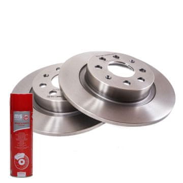 Stražnji kočioni diskovi 24011003231-PCS-MS | 2 kom