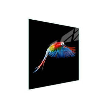 Staklena zaštita za ploču za kuhanje 50x52 Parrot