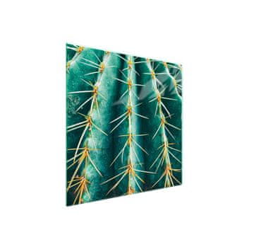 Staklena zaštita za štednjak 50x52 Cactus