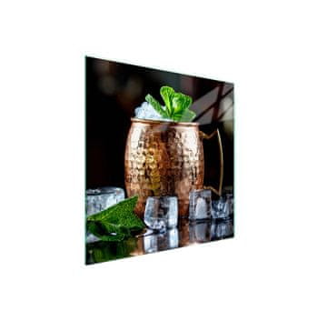 Staklena zaštitna ploča za štednjak 50x52 Ice