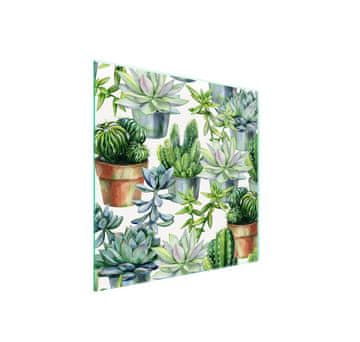 Staklena zaštita za štednjak 50x52 Cactus