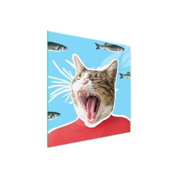 Zaštitna staklena ploča za štednjak 50x52 Cat