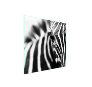 Zaštitnik za staklenu ploču za kuhanje 50x52 Zebra