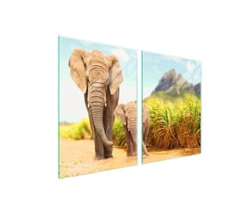 Staklena zaštitna ploča za štednjak 2x45x52 Elephant