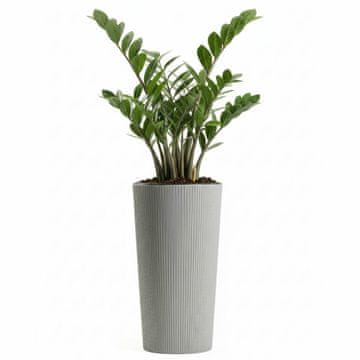 Urbanika ECO drvena posuda siva 36x19,4 cm