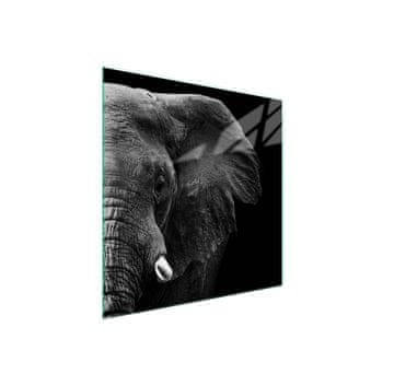 Staklena zaštitna ploča za štednjak 50x52 Elephant
