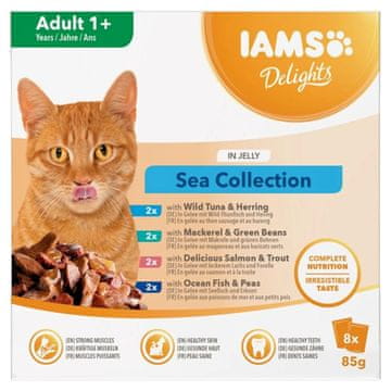 IAMS IAMS DELIGHTS Odrasli mix okusa u želeu - mokra hrana za mačke - 8x85g