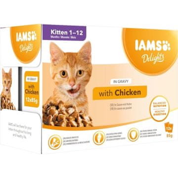 IAMS IAMS Delights Piletina u umaku - mokra hrana za mačiće - 12x85g