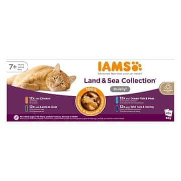 IAMS IAMS Senior Meso & Riba Mix u želeu - mokra hrana za mačke - 48x85g