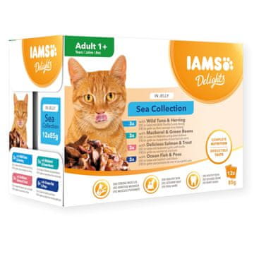 IAMS IAMS DELIGHTS Odrasli mix okusa u želeu - mokra hrana za mačke - 12x85g