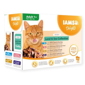 IAMS IAMS DELIGHTS Kopno & More Collection u želeu - mokra hrana za mačke - 12x85g