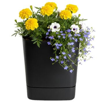 Posuda s postoljem CUBI reciklirana crna 30x30 cm