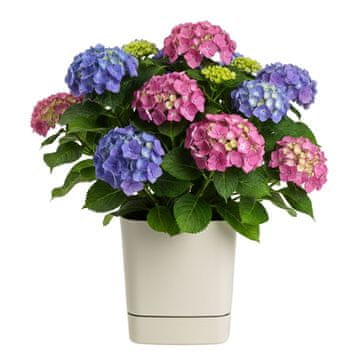 Žardinjera s postoljem CUBI reciklirana bež 34x34 cm