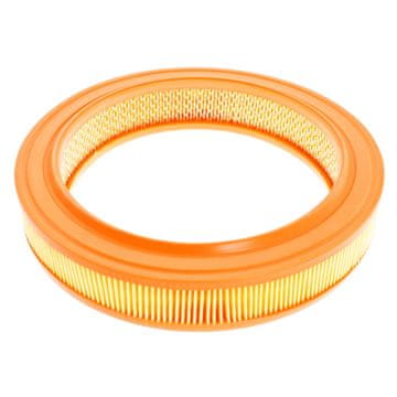 Filter zraka ford escort, fiesta, granada, orion; honda jazz i; mazda