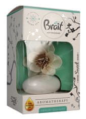 Dramers Brait Home Sweet Home Dekorativni osvježivač zraka Frosty Delight 75ml