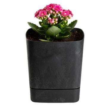 Posuda s tacnom CUBI reciklirani crni beton 16x16 cm