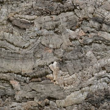 BIO BioVirgin Cork Background Grey 30x20cm tło korkowe do terrarium