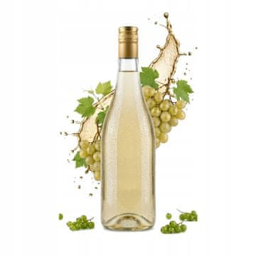 BE Staklena boca za vino 1l bezbojna za bijelo vino, ružinu vodicu, sok s navojnim čepom