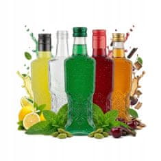 BE 5x ukrajinska boca 200ml + čep za likere, vino, alkohol, sirup, sok 0.2l