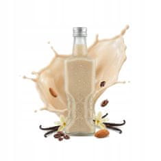 BE 5x ukrajinska boca 200ml + čep za likere, vino, alkohol, sirup, sok 0.2l