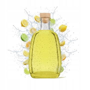 BE Asteria 250ml staklena boca s čepom za vino, mjesečinu, alkohol, liker