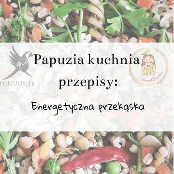 PaPuzia Kitchen ParrotPlanet - ENERGETSKI ZALOGAJ - Autorov recept Adzioszka iz Parrot Disaster
