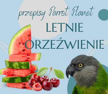 PAPUZIA Kuhinja ParrotPlanet - Ljetno osvježenje - Autorov recept Adzioszka iz Parrot Disaster