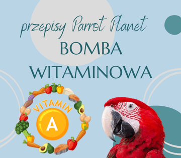 ParrotPlanet-ova Parrot Kitchen - VITAMINSKA BOMBA - Autorov recept od Adzioszke iz Parrot Disastera