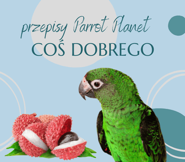 PAPUZIA Kuhinja ParrotPlanet - NEŠTO DOBRO - Autorov recept Adzioszka iz Parrot Disaster