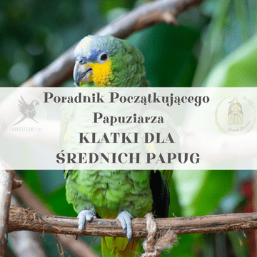 ParrotPlanet vodič - Vodič za početnike u držanju papiga - Kavezi za srednje velike papige