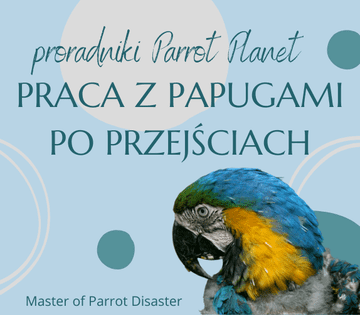 Vodič za ParrotPlanet - RAD S PAPIGAMA NAKON PRIJELAZA - Vodič za početnike u držanju papiga