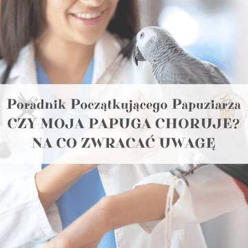 ParrotPlanet vodič - Vodič za početnike u držanju papiga - JE LI MOJA PAPIGA BOLESNA?