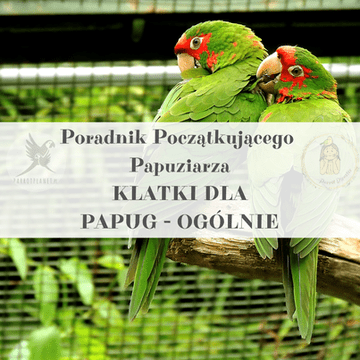 Vodič za ParrotPlanet - Vodič za početnike o kavezima za papige - Opće informacije