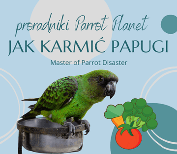 Vodič za ParrotPlanet - KAKO HRANITI PAPIGE - Vodič za početnike o papigama