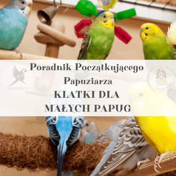 ParrotPlanet vodič - Vodič za početnike o kavezima za male papige
