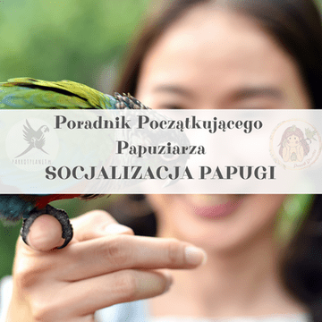 ParrotPlanet vodič - Vodič za početnike u držanju papiga - ISPRAVNA SOCIJALIZACIJA PAPIGA