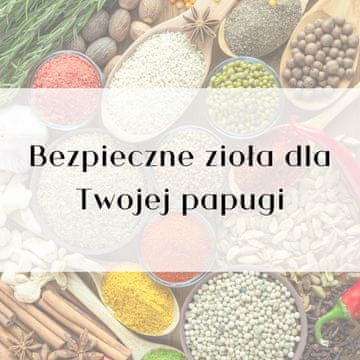 Vodič ParrotPlanet - Sigurno bilje i začini za vašu papigu