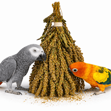 Activon Amaranth u ušima za hrskanje za sve papige 80g
