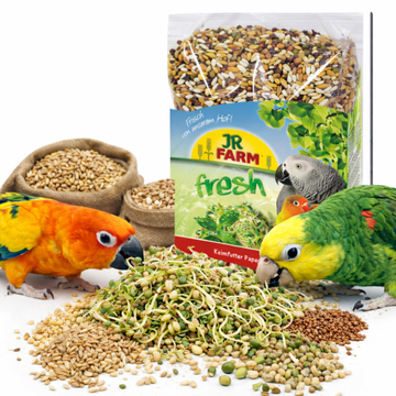 JR Farm Big Parrots - Klice za velike papige 1 kg
