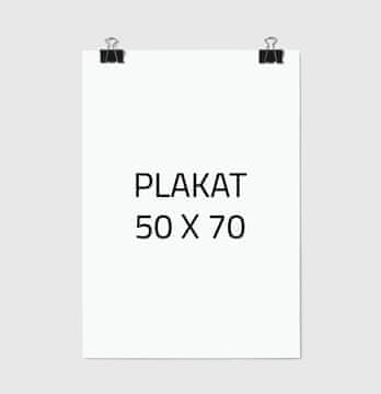 POSTER ZA SLIKE 50x70 cm B1 BEZ OKVIRA P000
