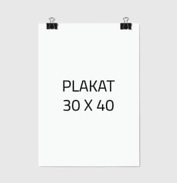 POSTER ZA SLIKE 30x40 cm A3 BEZ OKVIRA P000