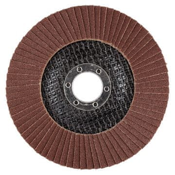 Lamelni disk 125 x 22,2 mm, P120
