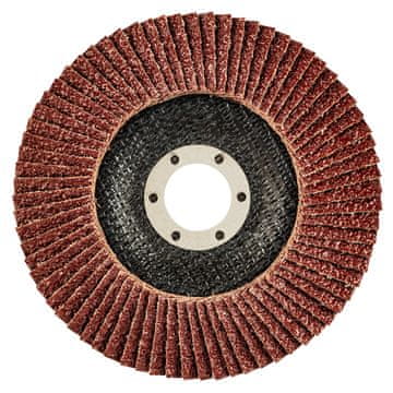 Lamelni disk 125 x 22,2 mm, K100