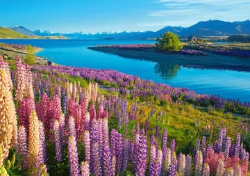 Castorland Puzzle 500 dijelova B-53896 Lake Tekapo, Novi Zeland