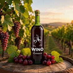 BE 10x Boce vina s tiskom, domaće vino, zelena boca vina, 0,75l