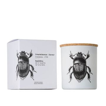 Scarabeus Sacer - - mirisna svijeća 190 g - serija Insect Collection